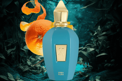 Top 8 Xerjoff Erba Pura Eau de Parfum Dupes & Alternatives