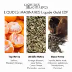 LIQUIDES IMAGINAIRES Liquide Gold EDP - A premium niche perfume at Beautinow.