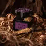 Jihan by Kajal fragrance - A luxurious perfume available at Beautinow.
