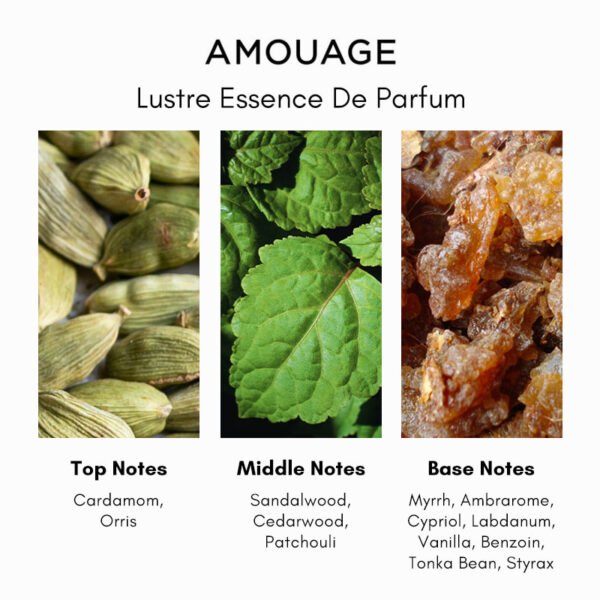 Amouage Lustre Essence De Parfum - Image 4