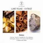 Lune Feline Extrait by Atelier Des Ors, a luxurious fragrance with notes of vanilla, cinnamon, and m.