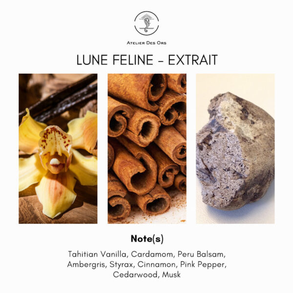 Atelier Des Ors Lune Feline Extrait de Parfum - Image 4