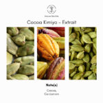 Atelier Des Ors Cocoa Kimiya Extrait de Parfum - Image 4