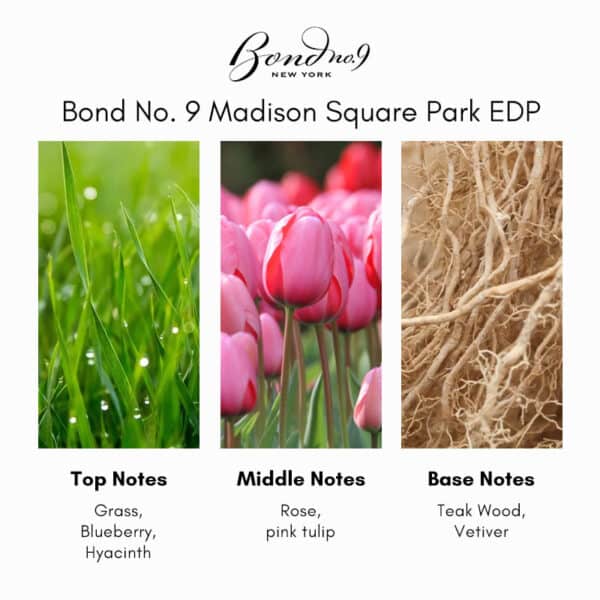 ​Bond No. 9 Madison Square Park Eau de Parfum - Image 4