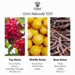 ​Gritti Rebrodè Eau de Parfum - Sample - Image 3