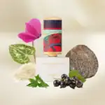 Floraiku One Umbrella for Two Eau de Parfum - Image 7