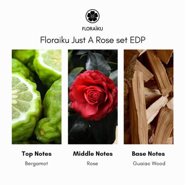 Floraiku Just A Rose Eau de Parfum - Image 5