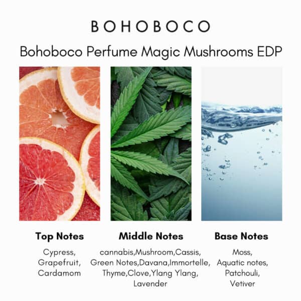 Bohoboco Magic Mushrooms Extrait de Parfum - Image 4