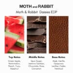 Moth and Rabbit Daisies No 3 Eau de Parfum - Image 3