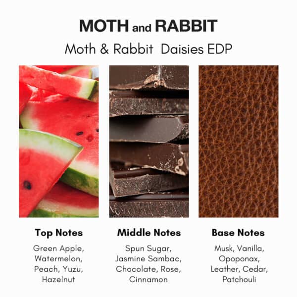 Moth and Rabbit Daisies No 3 Eau de Parfum - Image 3
