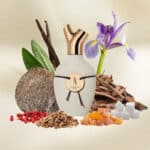 Scents of Wood Sandalwood in Oak Eau de Parfum - Image 4