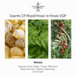Scents of Wood Hinoki in Hinoki Eau de Parfum - Image 3
