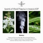 Scents of Wood Papyrus in Acacia Eau de Parfum - Image 3