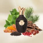 Scents of Wood Praline in Maple Eau de Parfum - Image 4