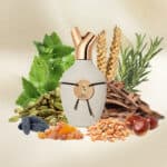 Scents of Wood Bread in Chestnut Eau de Parfum - Image 4