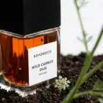 Bohoboco Wild Carrot Oud fragrance in a glass bottle.