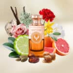 Electimuss London Moroccan Medjool Extrait de Parfum - Image 5