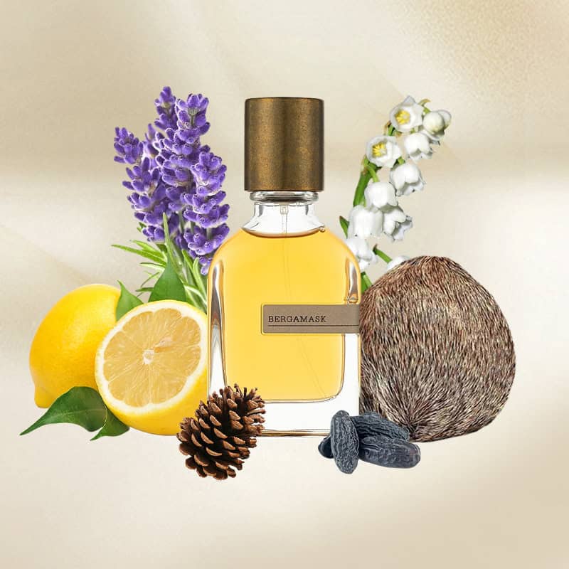 ORTO PARISI BERGAMASK 50ml パルファム Orto Parisi Bergamask Parfum 50 ml – My Dr. XM