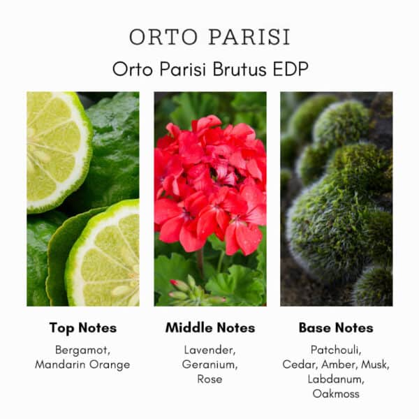 Orto Parisi Brutus Eau de Parfum - Image 4