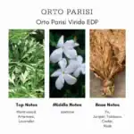 Orto Parisi Viride EDP - A premium niche perfume available at Beautinow.