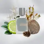 MBOAMARE luxury perfume bottle with natural botanical elements.
