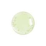 Beauty of Joseon Calming Serum: Green Tea + Panthenol - Image 4