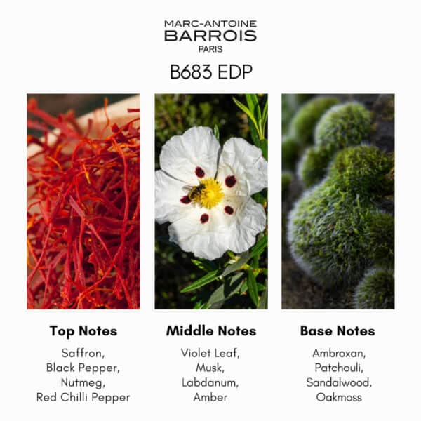 Marc-Antoine Barrois B683 Eau de Parfum - Image 5