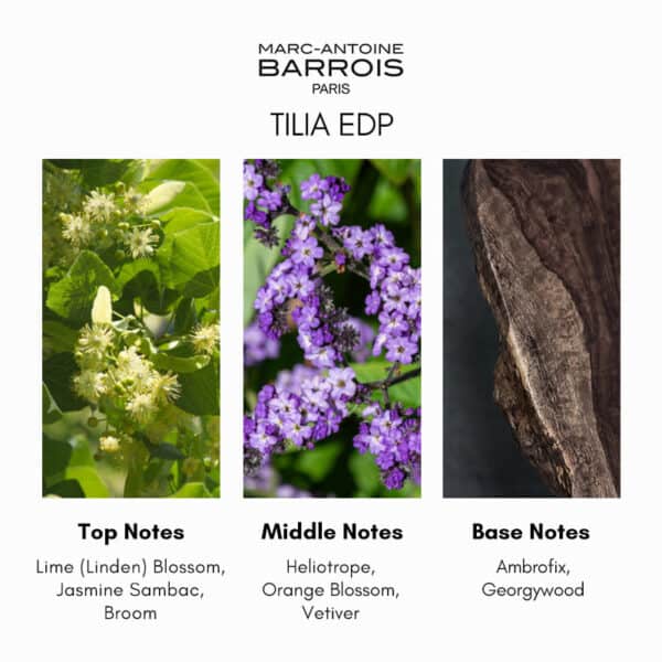 Marc-Antoine Barrois TILIA Eau de Parfum - Image 5