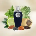 V Canto Irae Extrait de Parfum - A luxurious niche fragrance available at Beautinow.