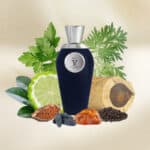 V Canto Irae Extrait de Parfum - Image 5