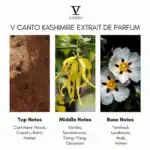 V Canto Kashimire Extrait de Parfum - A premium niche perfume available at Beautinow.
