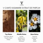 V Canto Kashimire Extrait de Parfum - Image 4