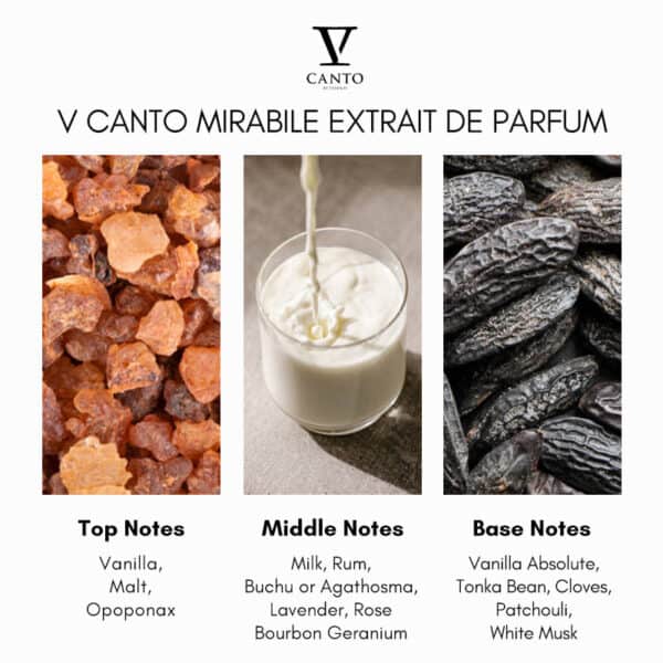 V Canto Mirabile Extrait de Parfum - Image 4