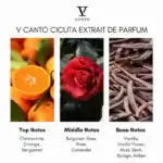 V Canto Cicuta Extrait de Parfum.