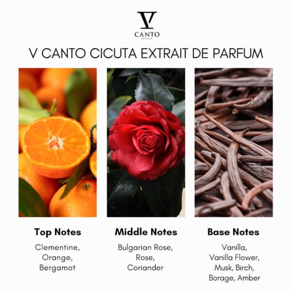 V Canto Cicuta Extrait de Parfum - Image 4