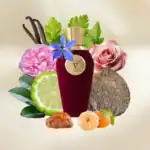 V Canto Cicuta Extrait de Parfum - A luxurious niche fragrance available at Beautinow.