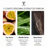 V Canto Stricnina Extrait de Parfum - A luxurious fragrance available at Beautinow.