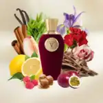 V Canto Stricnina Extrait de Parfum - A luxurious niche fragrance available at Beautinow.