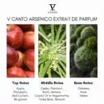Canto Arsenico Extrait de Parfum - A premium niche fragrance available at Beautinow.