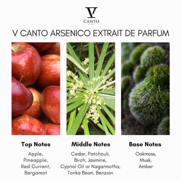 V Canto Arsenico Extrait de Parfum - Image 4