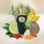 V Canto Arsenico Extrait de Parfum - A luxurious niche fragrance available at Beautinow.