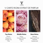 V Canto Ricina Extrait de Parfum - Image 4