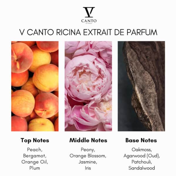 V Canto Ricina Extrait de Parfum - Image 4