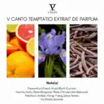 V Canto Temptatio Extrait de Parfum - A luxury niche fragrance available at Beautinow.