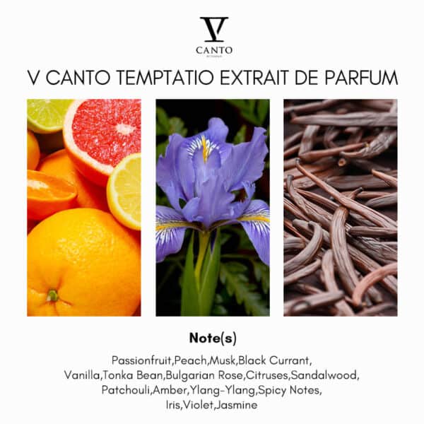 V Canto Temptatio Extrait de Parfum - Image 4