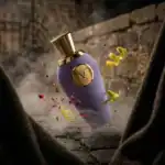 V Canto Messaggero Extrait de Parfum - A luxurious niche fragrance available at Beautinow.