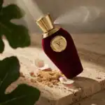 V Canto Stricnina Extrait de Parfum - A luxurious niche fragrance available at Beautinow.
