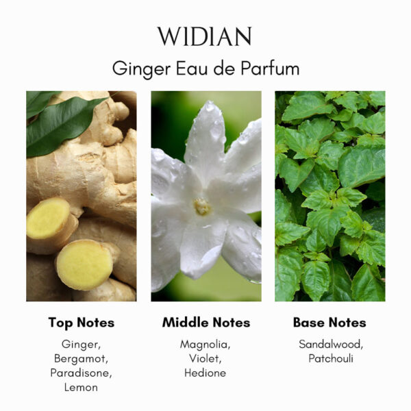 Widian Ginger Eau de Parfum - Image 4
