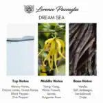 Lorenzo Pazzaglia Dream Sea - A premium niche perfume available at Beautinow.