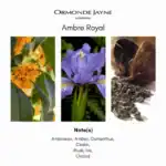 Ormonde Jayne Ambre Royal perfume bottle with floral and woody notes.